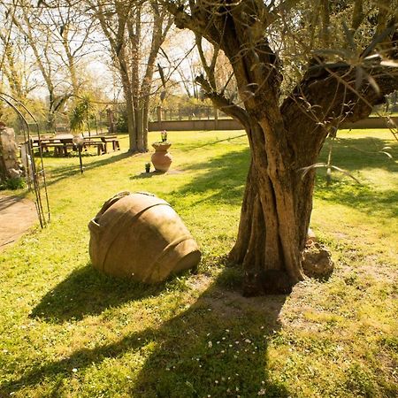 Picchio Verde San Giuseppe  Екстер'єр фото