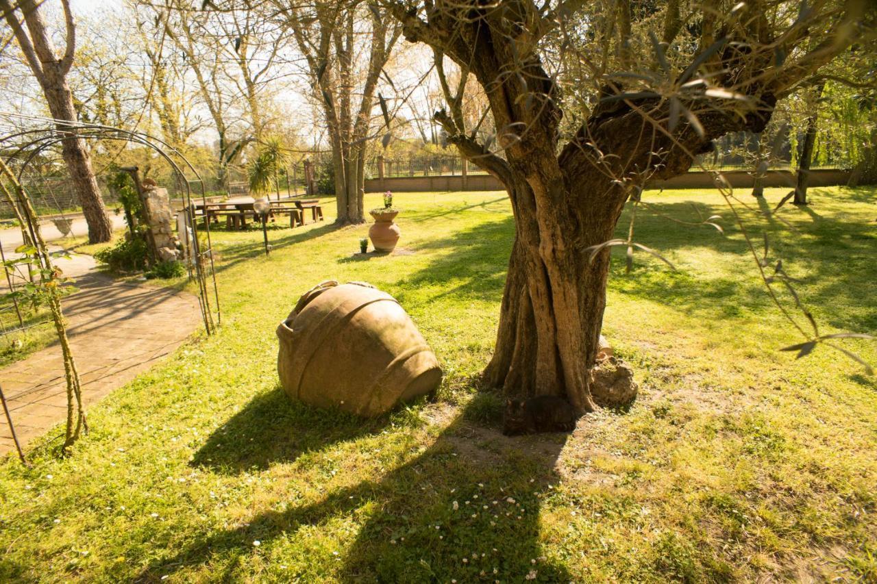 Picchio Verde San Giuseppe  Екстер'єр фото